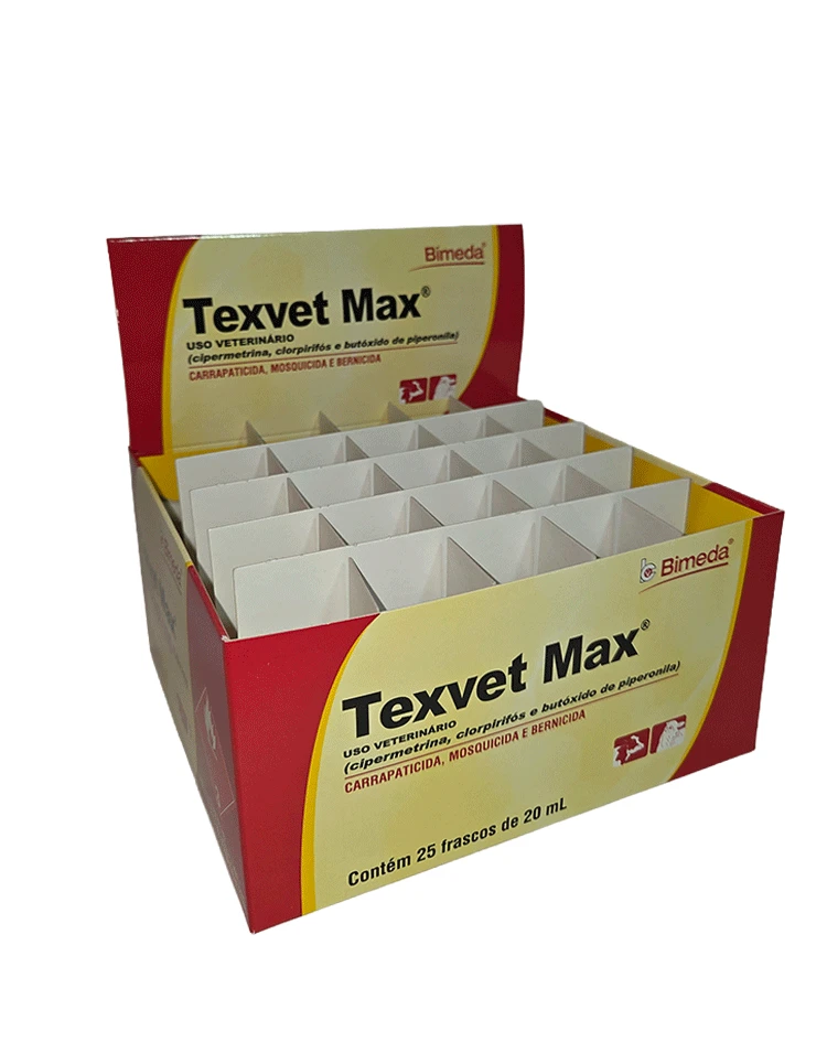 Sem-Título-1_0003_20260331_151929